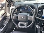 2025 Ford F-150 SuperCrew Cab 4x4 Pickup for sale #P14627 - photo 15