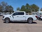 2024 Ford F-150 SuperCrew Cab 4x4, Pickup for sale #RFB33916 - photo 3