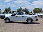 2024 Ford F-150 SuperCrew Cab 4x2, Pickup for sale #RKE49884 - photo 25