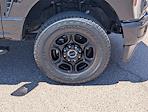 2023 Ford F-250 Crew Cab 4x4 Pickup for sale #RKF42511A - photo 9