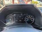2020 Ford F-150 SuperCrew Cab 4x2 Pickup for sale #SEC70154B - photo 28