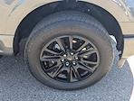 2024 Ford F-150 SuperCrew Cab 4x4 Pickup for sale #SFB07098A - photo 10