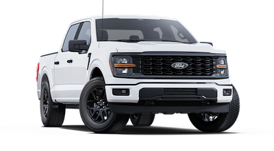 New 2025 Ford F-150 - photo 1