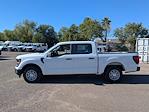 2025 Ford F-150 SuperCrew Cab 4x2 Pickup for sale #SKF85218 - photo 3