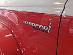 New 2025 Ford Bronco Stroppe Edition for sale #SLA21035 - photo 10