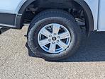 2025 Ford Ranger SuperCrew Cab 4x2 Pickup for sale #SLE27086 - photo 8