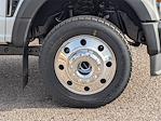 2026 Ford F-450 Crew Cab DRW 4x4 Pickup for sale #TED18823 - photo 11