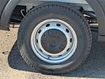 2026 Ford Transit 150 Low Roof RWD Empty Cargo Van for sale #TKA04194 - photo 5