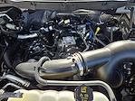 2024 Ford F-150 SuperCrew Cab RWD Pickup for sale #25WG0665A - photo 31
