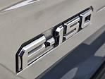 2023 Ford F-150 SuperCrew Cab 4WD Pickup for sale #26DH0224A - photo 10