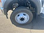 2024 Ford F-450 Regular Cab DRW RWD Service Truck for sale #247244 - photo 23