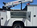 2024 Ford F-350 Crew Cab DRW 4WD Mechanics Body for sale #247260 - photo 8