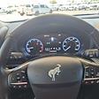 2023 Ford Bronco Sport 4WD SUV for sale #255682A - photo 13