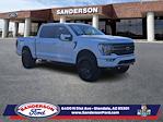 2022 Ford F-150 SuperCrew Cab 4WD Pickup for sale #256599A - photo 25
