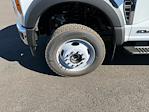 New 2026 Ford F-550 Crew Cab Cab Chassis for sale #265377 - photo 16