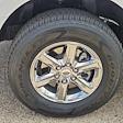 2024 Ford F-150 SuperCrew Cab 4WD Pickup for sale #31026 - photo 9