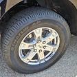 2023 Ford F-150 SuperCrew Cab 4WD Pickup for sale #31077 - photo 9