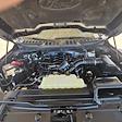 2023 Ford F-150 SuperCrew Cab RWD Pickup for sale #31090 - photo 10