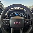 2023 Ford F-150 SuperCrew Cab RWD Pickup for sale #31129 - photo 14