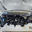 2024 Ford Transit 250 Low Roof RWD Empty Cargo Van for sale #31156 - photo 9