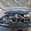 Used 2023 Ford F-350 XL Regular Cab for sale #31160 - photo 10