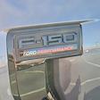 2025 Ford F-150 Regular Cab 4WD Pickup for sale #31198 - photo 9