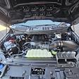 2025 Ford F-150 Regular Cab 4WD Pickup for sale #31198 - photo 10