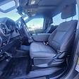 2025 Ford F-150 Regular Cab 4WD Pickup for sale #31198 - photo 12