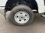 New 2024 Ford F-350 Regular Cab Cab Chassis for sale #B24727 - photo 15