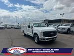 2025 Ford F-250 Regular Cab RWD Scelzi Service Truck for sale #B25202 - photo 1