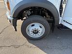2026 Ford F-550 Crew Cab DRW 4WD Scelzi Contractor Truck for sale #B25203A - photo 26