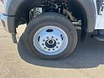 2025 Ford F-550 Crew Cab DRW 4WD Scelzi Landscape Dump for sale #B25209 - photo 24