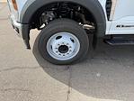 2025 Ford F-550 Regular Cab DRW RWD Scelzi Flatbed Truck for sale #B25217 - photo 18