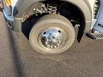 2025 Ford F-550 Crew Cab DRW 4WD Cab Chassis for sale #B25234 - photo 16