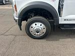 New 2025 Ford F-550 XLT Crew Cab 4WD Hauler Body for sale #B25250 - photo 17
