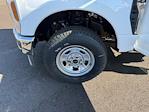 New 2025 Ford F-350 Regular Cab Cab Chassis for sale #B25284 - photo 14