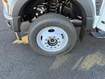New 2026 Ford F-550 Crew Cab Cab Chassis for sale #B26012 - photo 16
