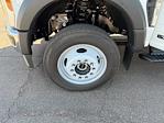 New 2026 Ford F-550 Super Cab 4WD Scelzi SBD-132-94-49-38-VO 11' Service Truck for sale #B26022 - photo 15