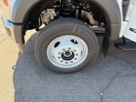 2026 Ford F-550 Crew Cab DRW 4WD Scelzi Contractor Truck for sale #B26024 - photo 8