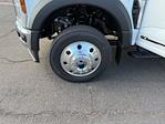 2026 Ford F-550 Crew Cab DRW 4WD Hauler Body for sale #B26033 - photo 3