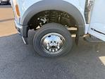 2026 Ford F-550 Crew Cab DRW 4WD Cab Chassis for sale #B26103 - photo 16