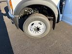 New 2026 Ford F-450 Regular Cab Cab Chassis for sale #B26115 - photo 14
