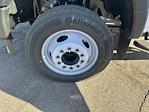 2024 Ford F-550 Regular Cab DRW RWD Cab Chassis for sale #F24336 - photo 28