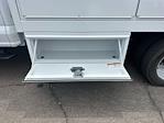 2024 Ford F-550 Crew Cab DRW 4WD Contractor Truck for sale #F24354 - photo 12