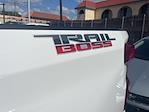 2023 Chevrolet Silverado 1500 Crew Cab 4x4 Pickup for sale #AUC6052 - photo 9