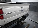 2013 Ford F-150 SuperCrew Cab 4x2 Pickup for sale #P8080 - photo 30
