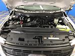 New 2025 Ford F-250 Regular Cab Pickup for sale #A7170 - photo 7