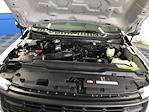 New 2025 Ford F-250 Regular Cab Pickup for sale #A7192 - photo 7
