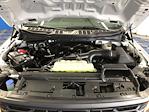 2025 Ford F-150 Super Cab 4WD Pickup for sale #A7214 - photo 6