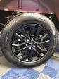 New 2025 Ford F-150 XLT SuperCrew Cab 4WD Pickup for sale #A7391 - photo 11